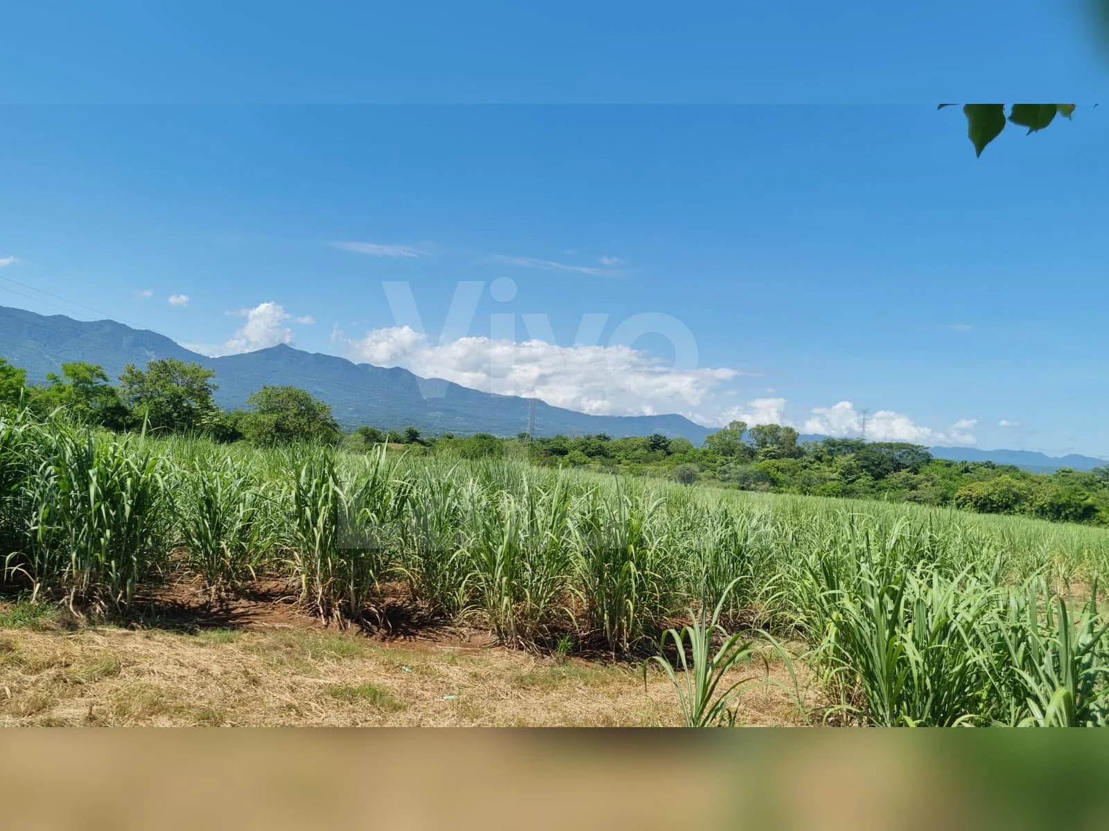 Vista de Ahuachapán Norte, El Salvador