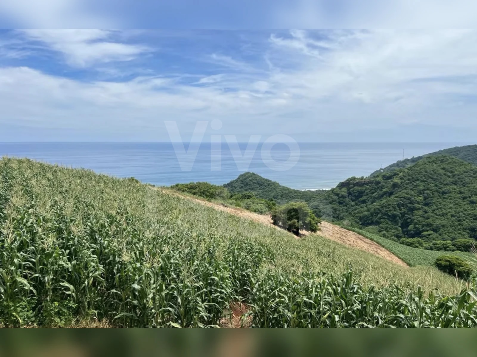 Terreno · Chiltiupán, La Libertad Costa, Departamento de La Libertad, El Salvador