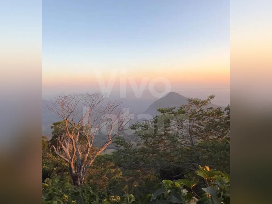 Foto 1 de 7