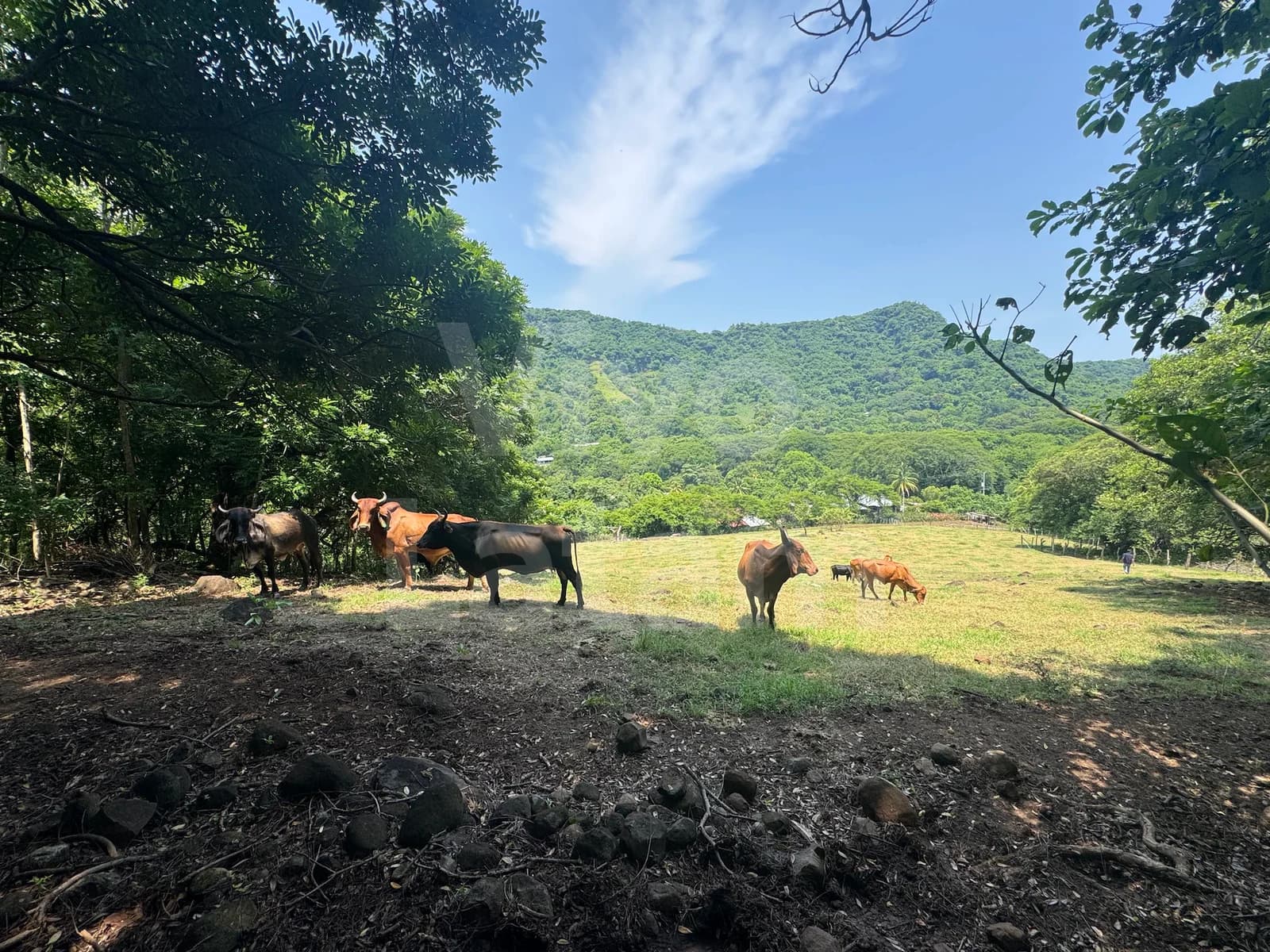 Vista de Jicalapa, El Salvador